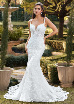 Ivory Delicate Lace Tulle Open Back Luxury Wedding Dress